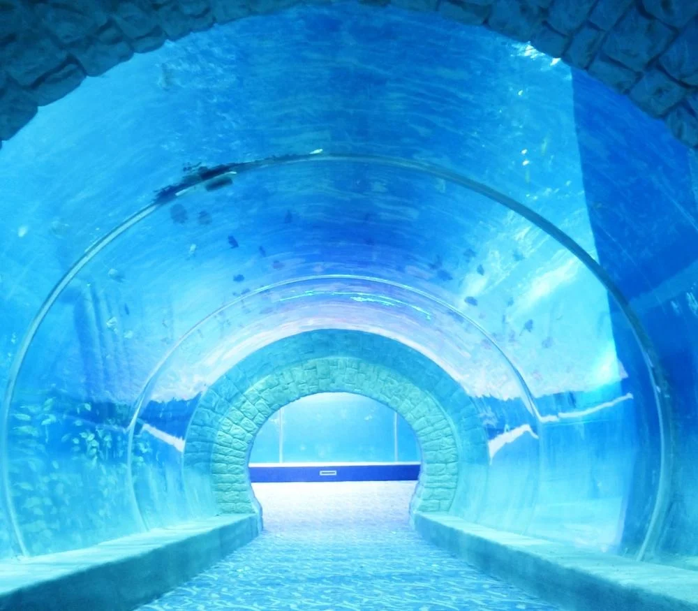 Customized Acrylic Aquarium Tunnel On Sale For Acrylic Aquarium Tunnel Project / Acrylic Oceanarium-1745027051484334 3