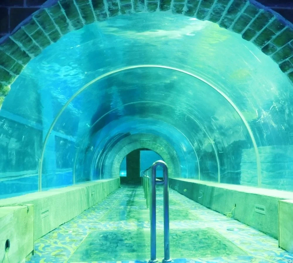 Customized Acrylic Aquarium Tunnel On Sale For Acrylic Aquarium Tunnel Project / Acrylic Oceanarium 1