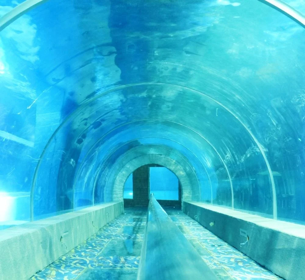 Customized Acrylic Aquarium Tunnel On Sale For Acrylic Aquarium Tunnel Project / Acrylic Oceanarium-1745027051484334 2