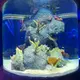 Custom Acrylic Aquariums 100% Pure Imported Lucite - - Xchacrylic 2