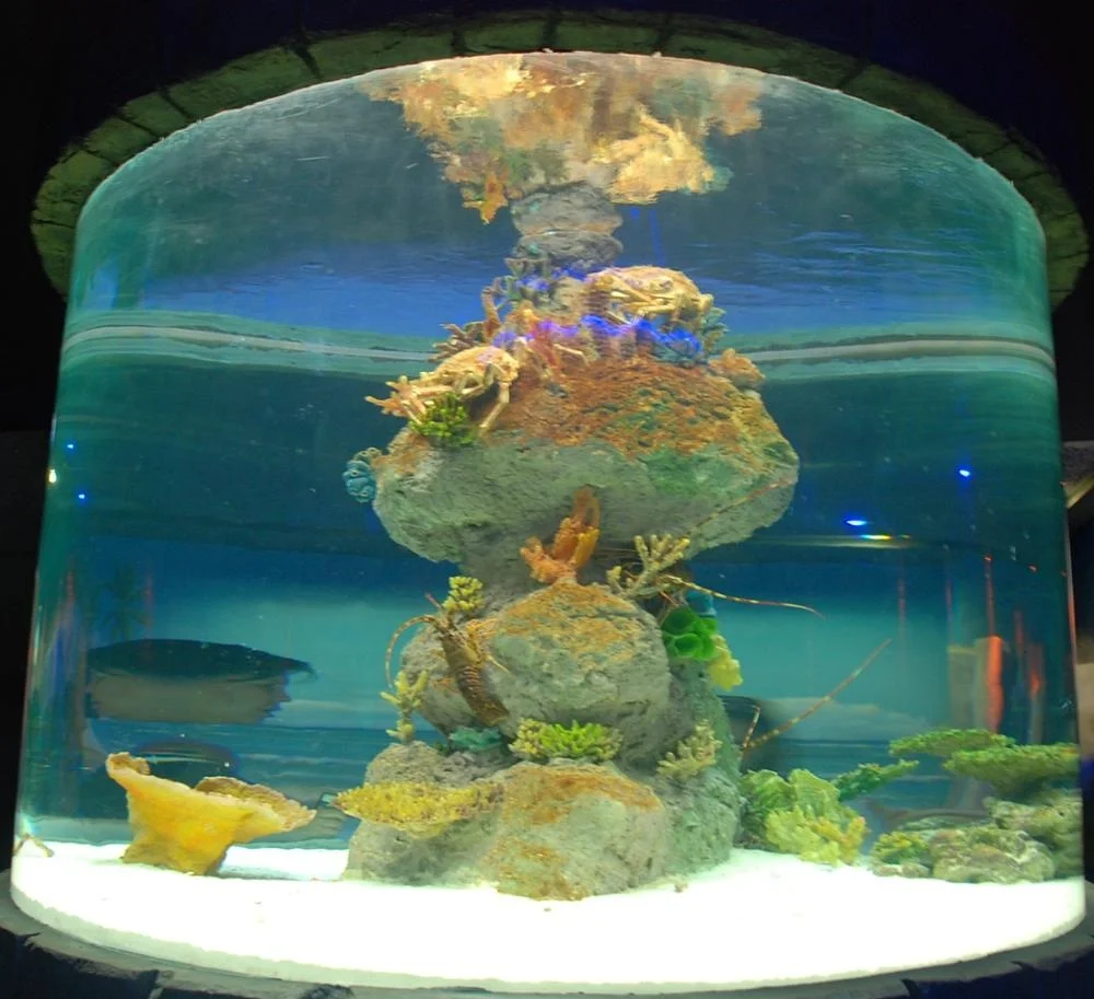 2025 Large Round Customized Acrylic Fish Aquarium 3