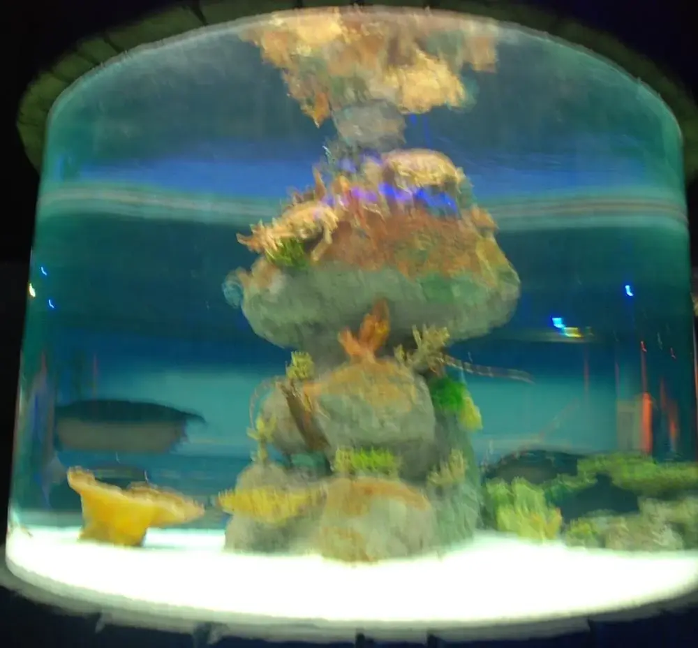 Custom Acrylic Aquariums 100% Pure Imported Lucite - - Xchacrylic 6