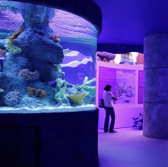 2025 Large Round Customized Acrylic Fish Aquarium 6