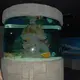 Custom Acrylic Aquariums 100% Pure Imported Lucite - - Xchacrylic 4