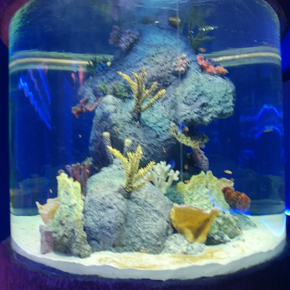 2025 Large Round Customized Acrylic Fish Aquarium 1