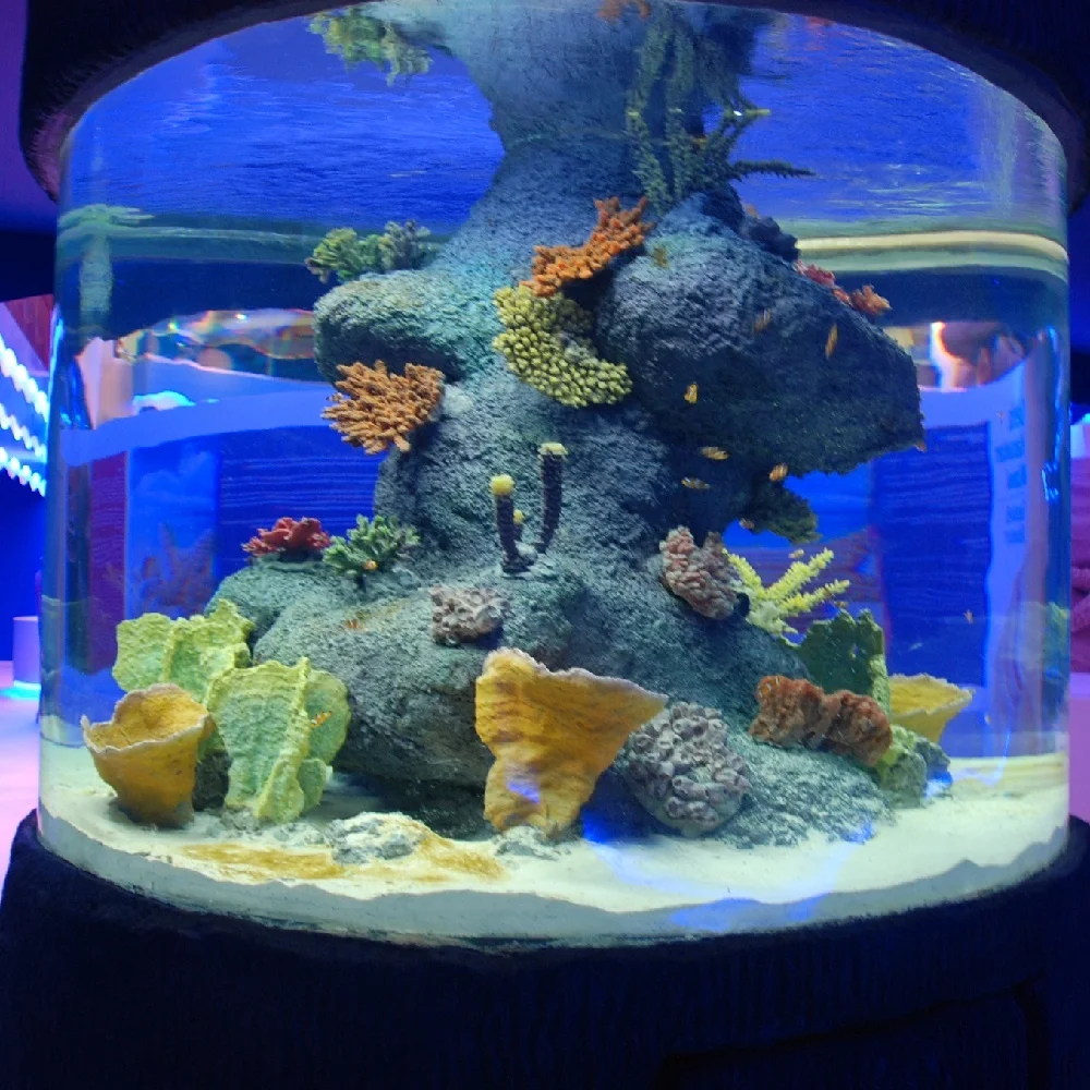 2025 Large Round Customized Acrylic Fish Aquarium 5