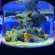 Custom Acrylic Aquariums 100% Pure Imported Lucite - - Xchacrylic 5