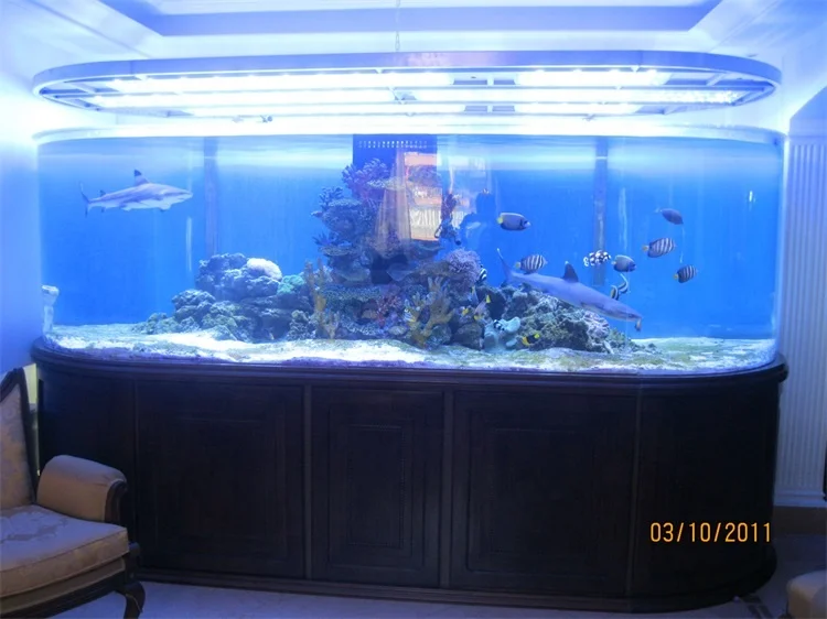 Wholesale Acrylic Round Fish Tank Suppliers 4