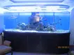 Acrylic Tanks for Sale 17.3KJ/㎡ AnysizeManufacturers 4
