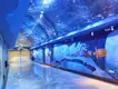 Tunnel Aquarium 100% Imported LuciteManufacturers 7