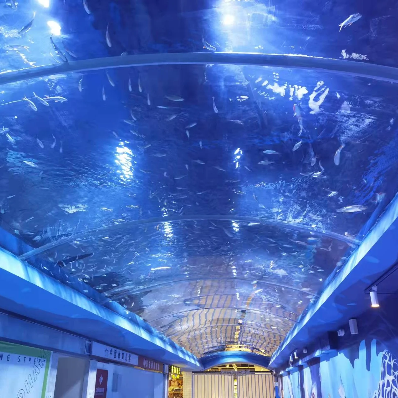 Clear Acrylic Tunnels Supply ISO9001/CNAS 3