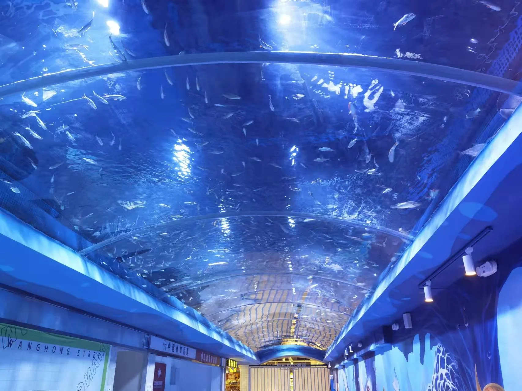 Clear Acrylic Tunnels Supply ISO9001/CNAS 5
