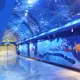 Tunnel Aquarium 100% Imported LuciteManufacturers 2