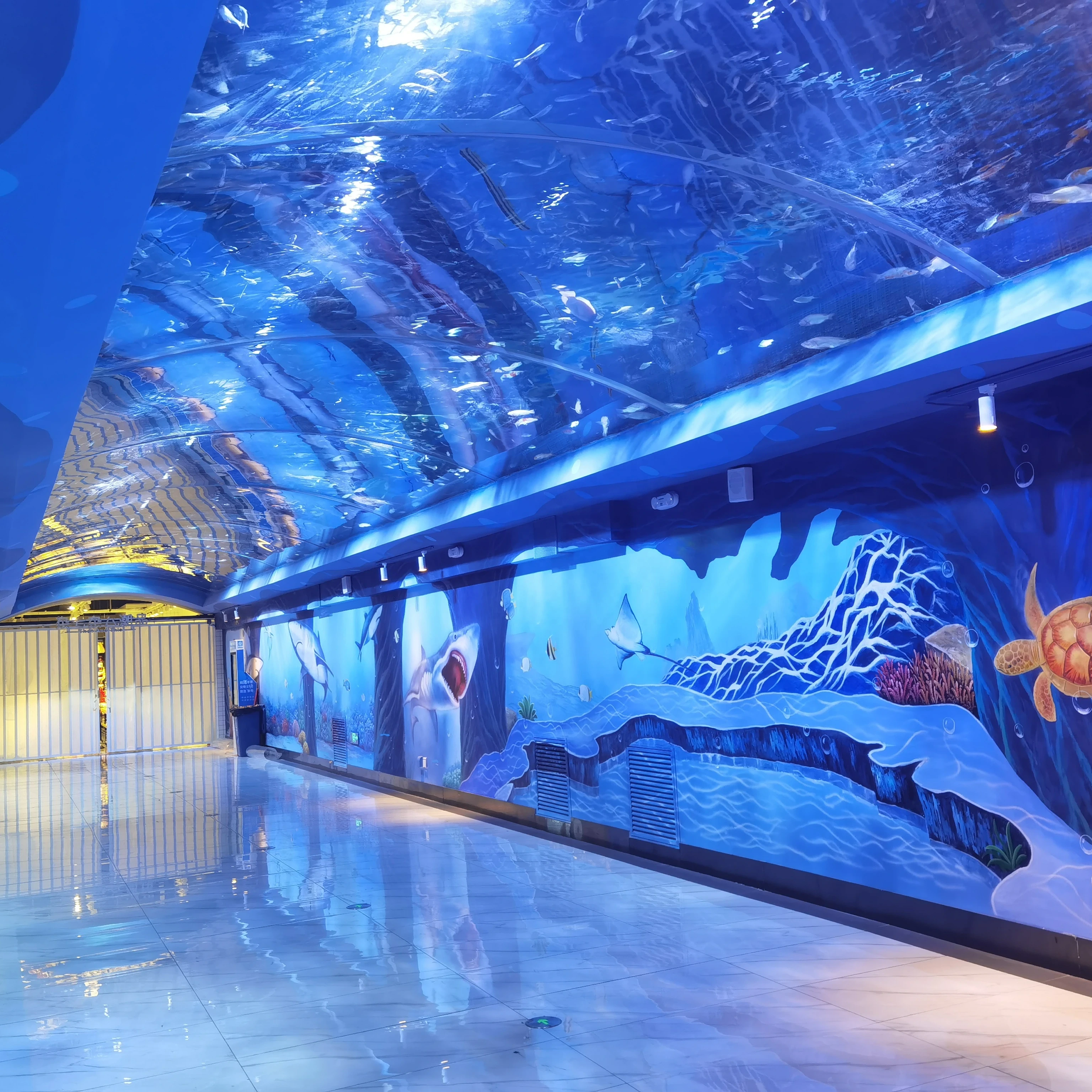 Transparent Best Selling Acrylic Viewing Tunnel Underwater Panel Thick Sheets Para sa Underground World 1