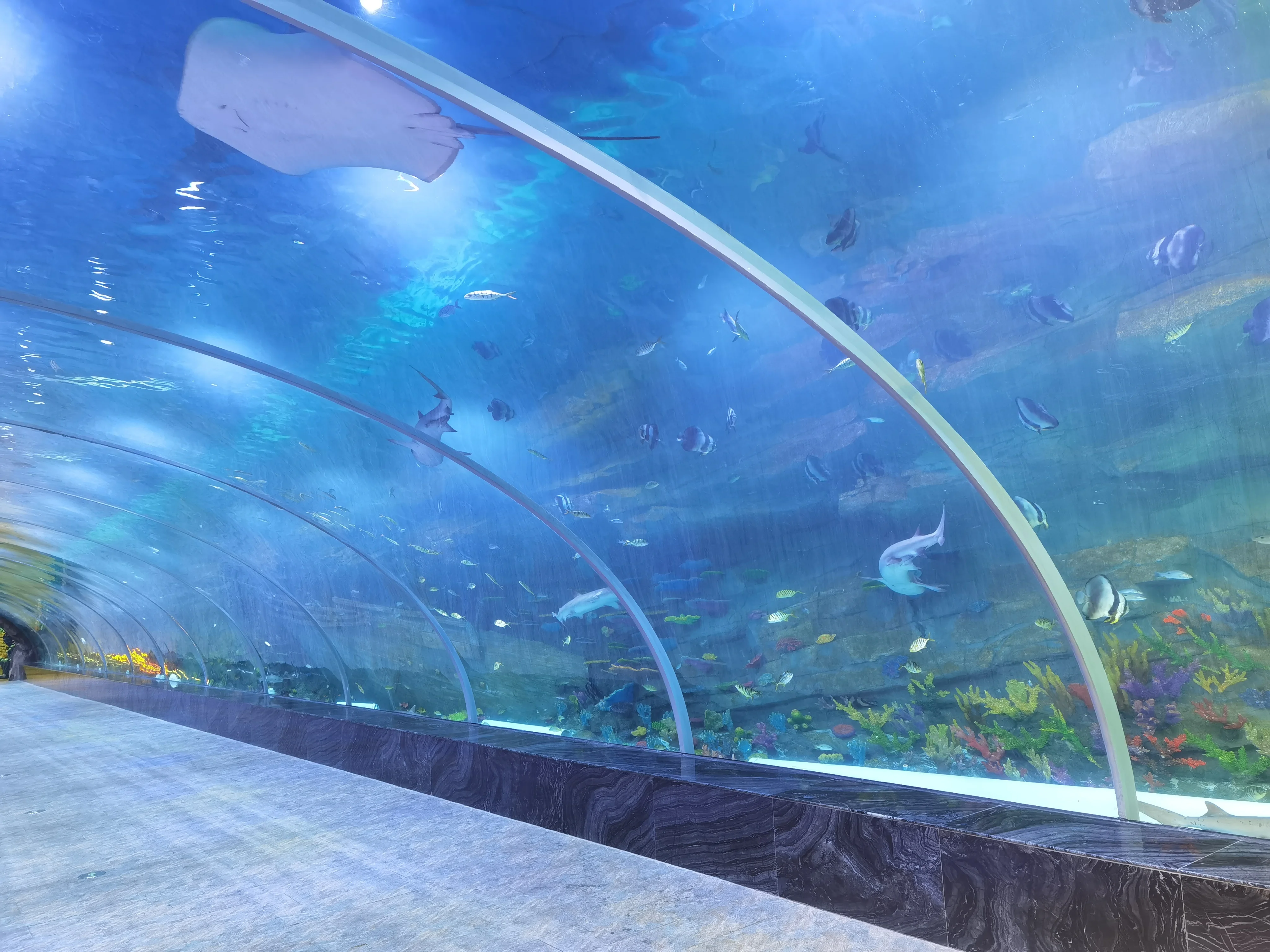 Clear Acrylic Tunnels Supply ISO9001/CNAS 4