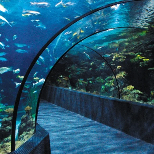 Big Thick Acrylic Sheet Aquariums & Accessories 100% Imported Lucite After Filtering For Tunnel Aquarium 20mm--600mm Sustainable 1