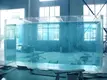 High-quality Custom Acrylic Aquariums Transparent Xchacrylic Brand 5