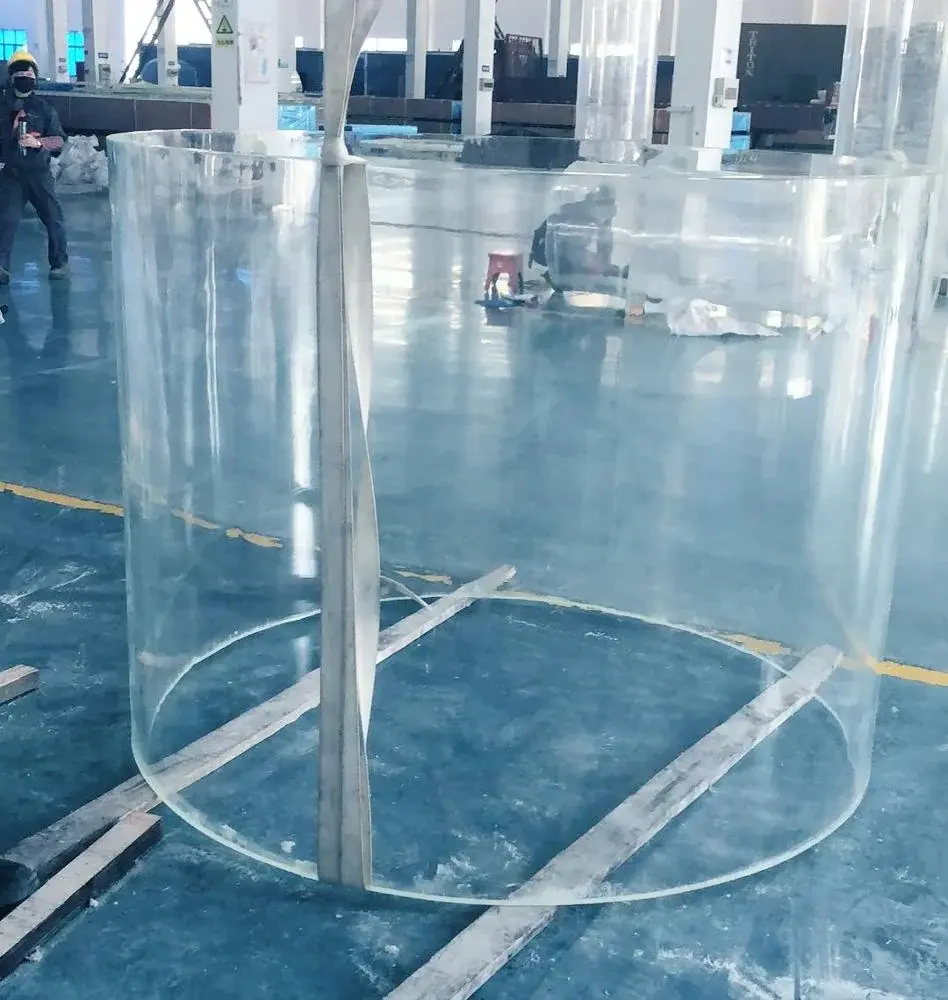 New Acrylic Tunnels Manufacturers 7
