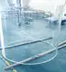 New Acrylic Tunnels Manufacturers 6