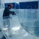 Latestacrylic Panel Manufacturers Transparent Aquariums 6