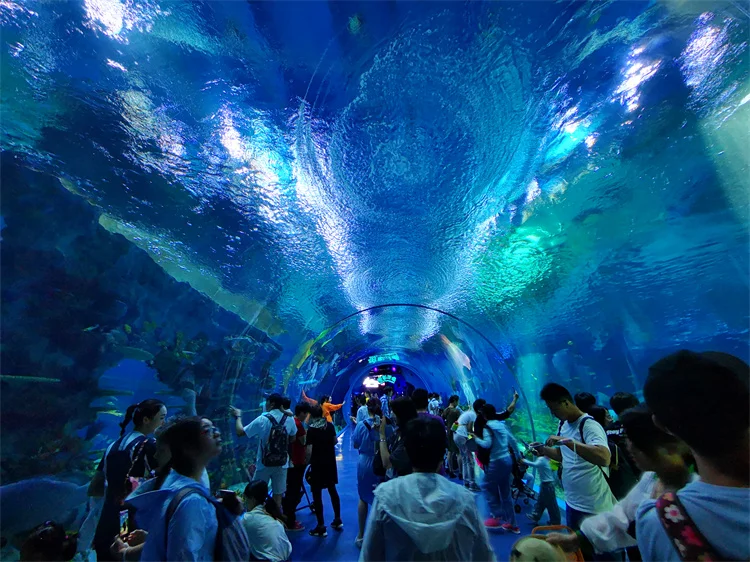 2025 Panel Akrilik untuk Aquarium Terowongan Kaca Akrilik Bawah Air 3