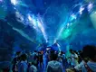 Top Transparent Plexiglass Sheets Cutting Xchacrylic Company 3