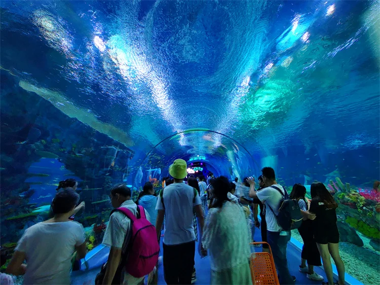 2025 Panel Akrilik untuk Aquarium Terowongan Kaca Akrilik Bawah Air 4