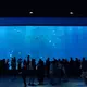 Acrylic Glass Panels Factory Maintain 5