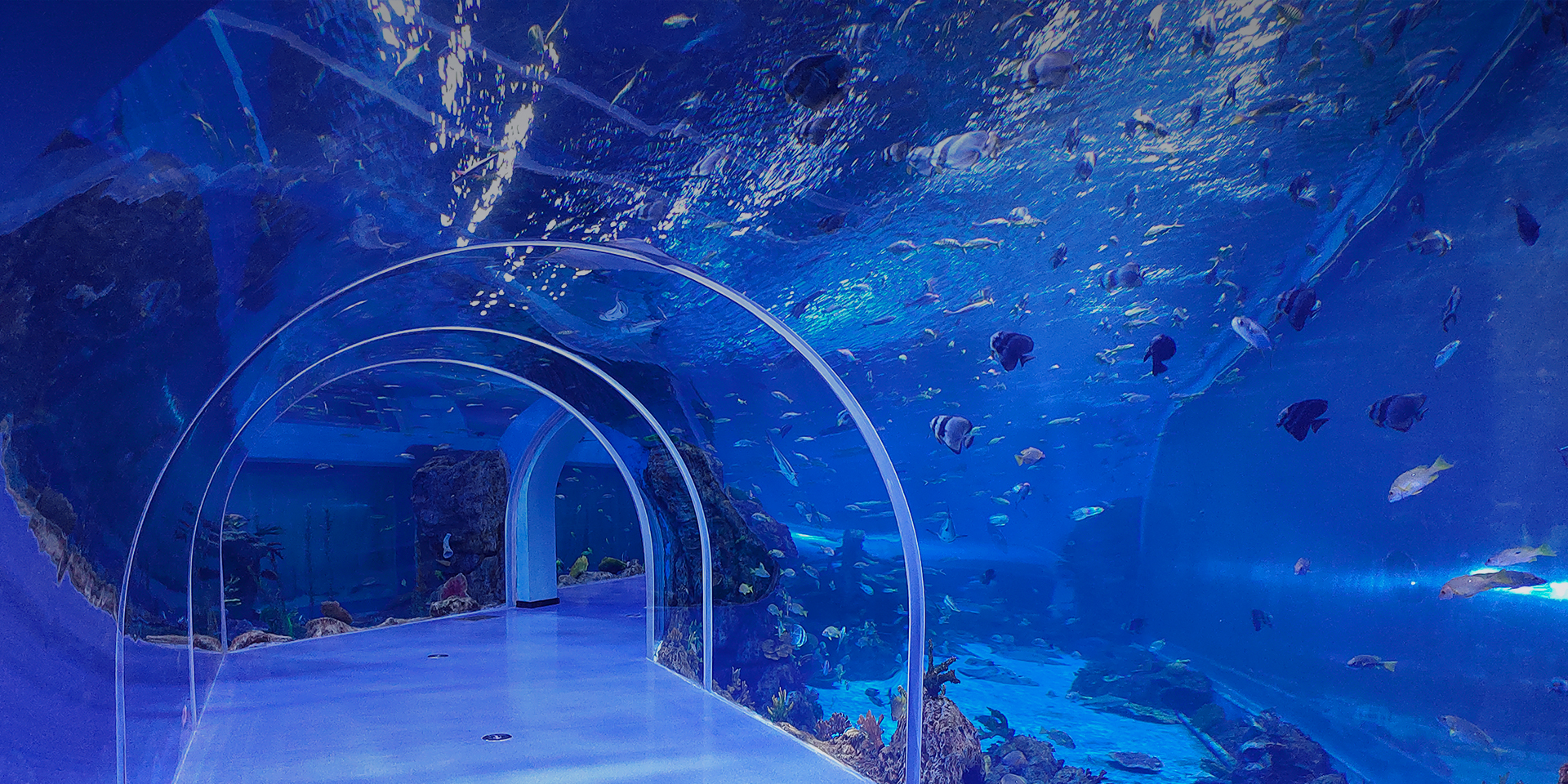 Professional manufacture for aquariums and Extra large thick panels on-site splicing support