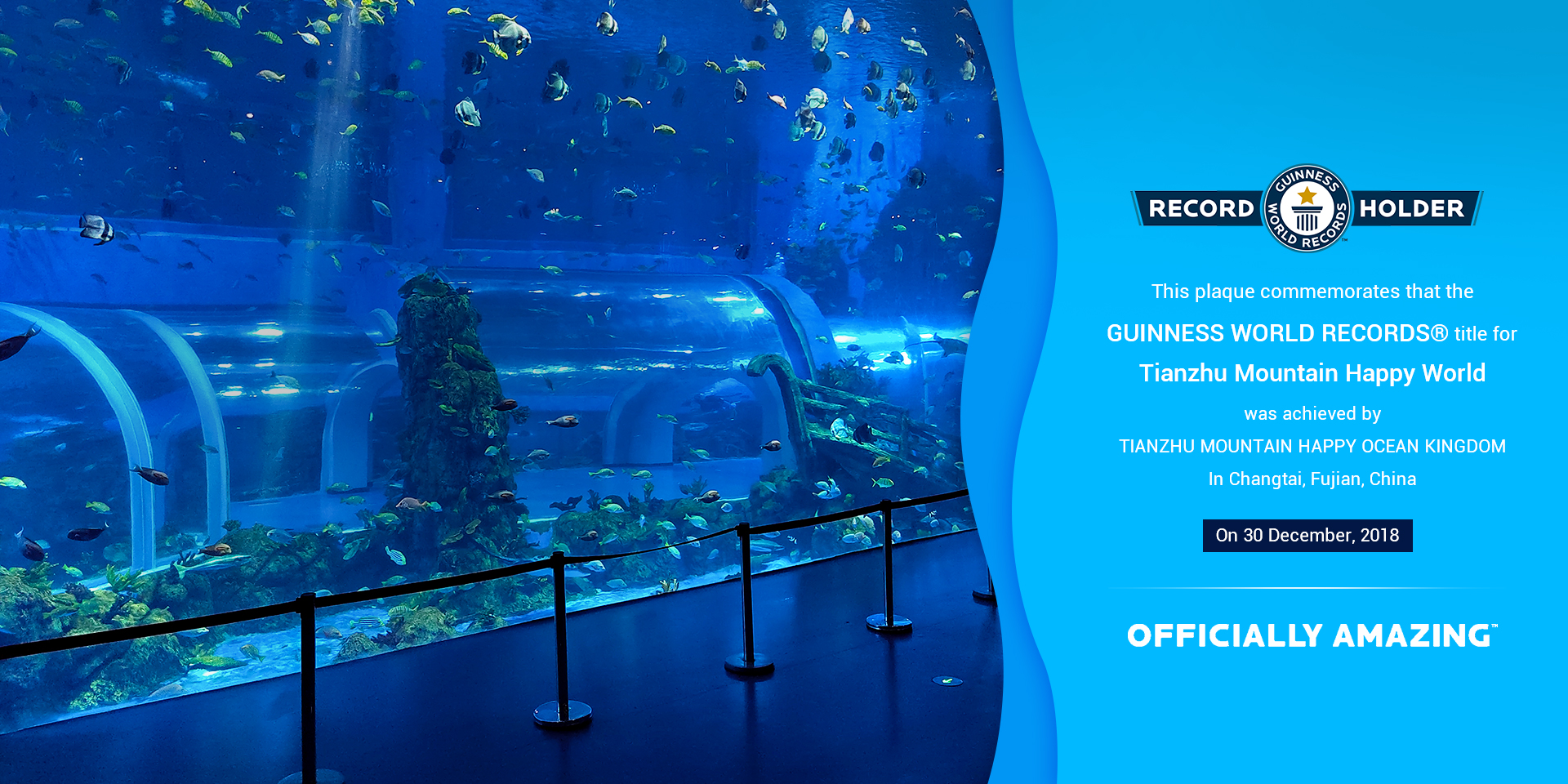 Professional Manufacture For Acrylic Aquariums And Extra Large Thick Acrylic Panels On-Site Splicing Support