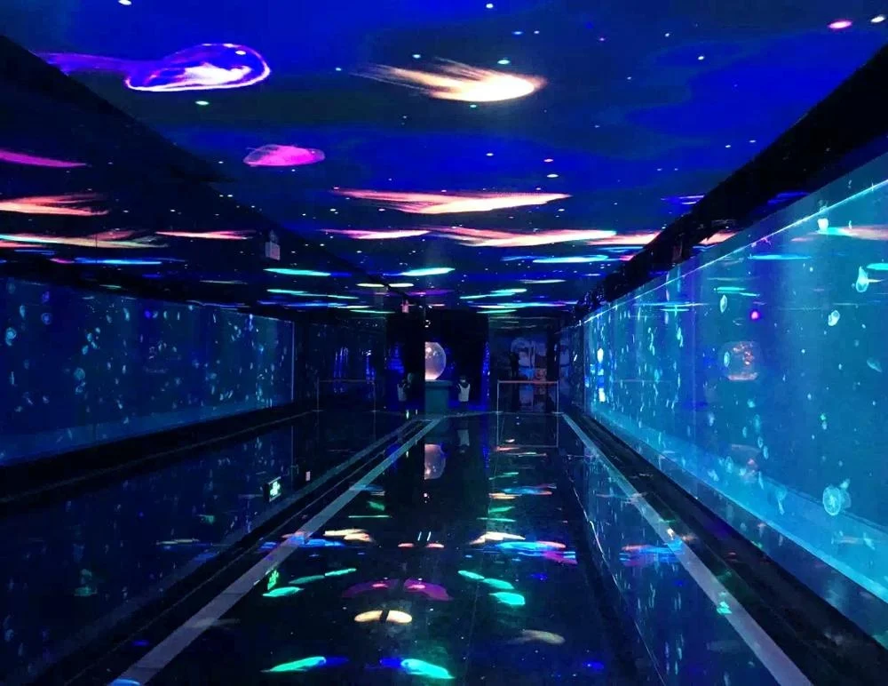 Bể cá acrylic trong suốt tùy chỉnh Chất liệu Lucite Bể cá thạch 1