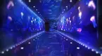 OEM Custom Aquarium Makers Xchacrylic Xingcheng Acrylic 3