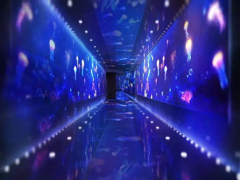 OEM Custom Aquarium Makers Xchacrylic Xingcheng Acrylic 2