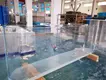 Wholesale Custom Aquarium Builders Price List 7