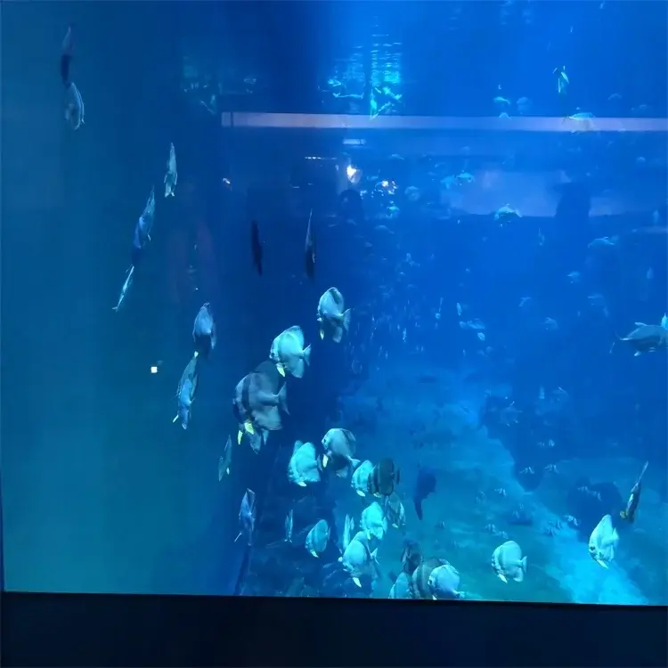 Wholesale Custom Sized Aquariums Supply 3