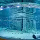 Wholesale Custom Sized Aquariums Supply 1