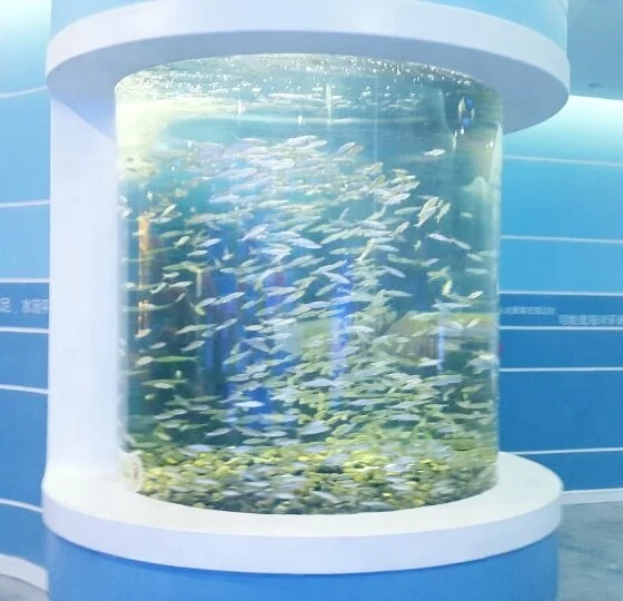 Modern Top Quality Clear Acrylic Seawater Aquarium Fish Tank 4