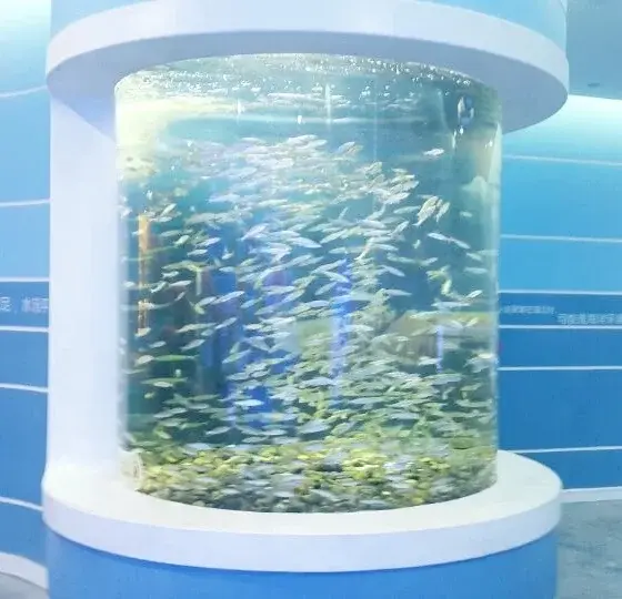 Wholesale Custom Sized Aquariums Supply 4