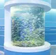 Wholesale Custom Sized Aquariums Supply 4