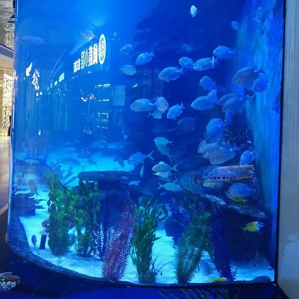 Modern Top Quality Clear Acrylic Seawater Aquarium Fish Tank 5