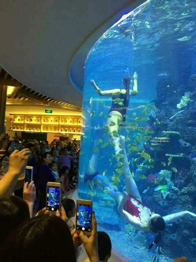 Custom Aquarium Makers Aquariums & Accessories - - Xchacrylic 2
