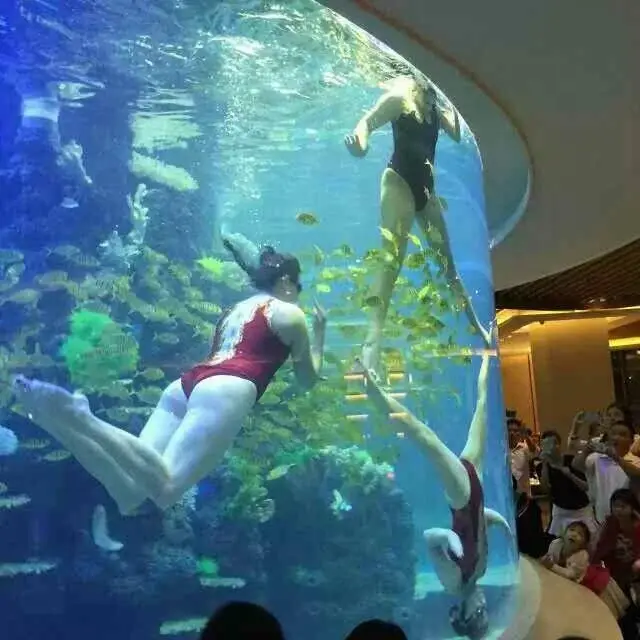 The Beauty And Benefits Of An Acrylic Cylinder Aquarium 1