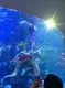 Custom Aquarium Makers Aquariums & Accessories - - Xchacrylic 3