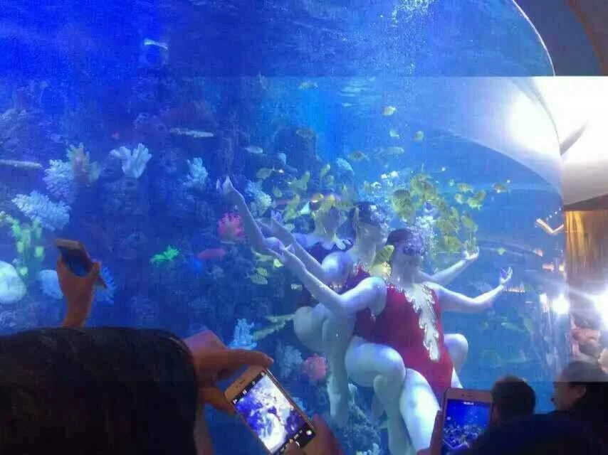 Custom Aquarium Makers Aquariums & Accessories - - Xchacrylic 4