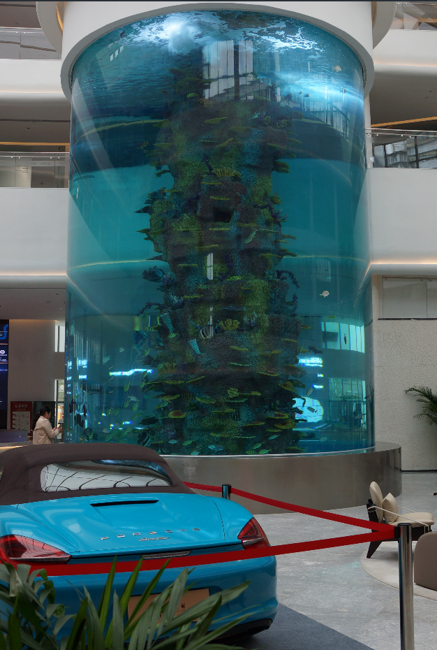 2025 acrylic glass cylinder fish tank aquarium 3