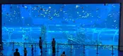 Best Acrylic for Fish Tanks Xchacrylic Brand ISO9001 Sheet 7