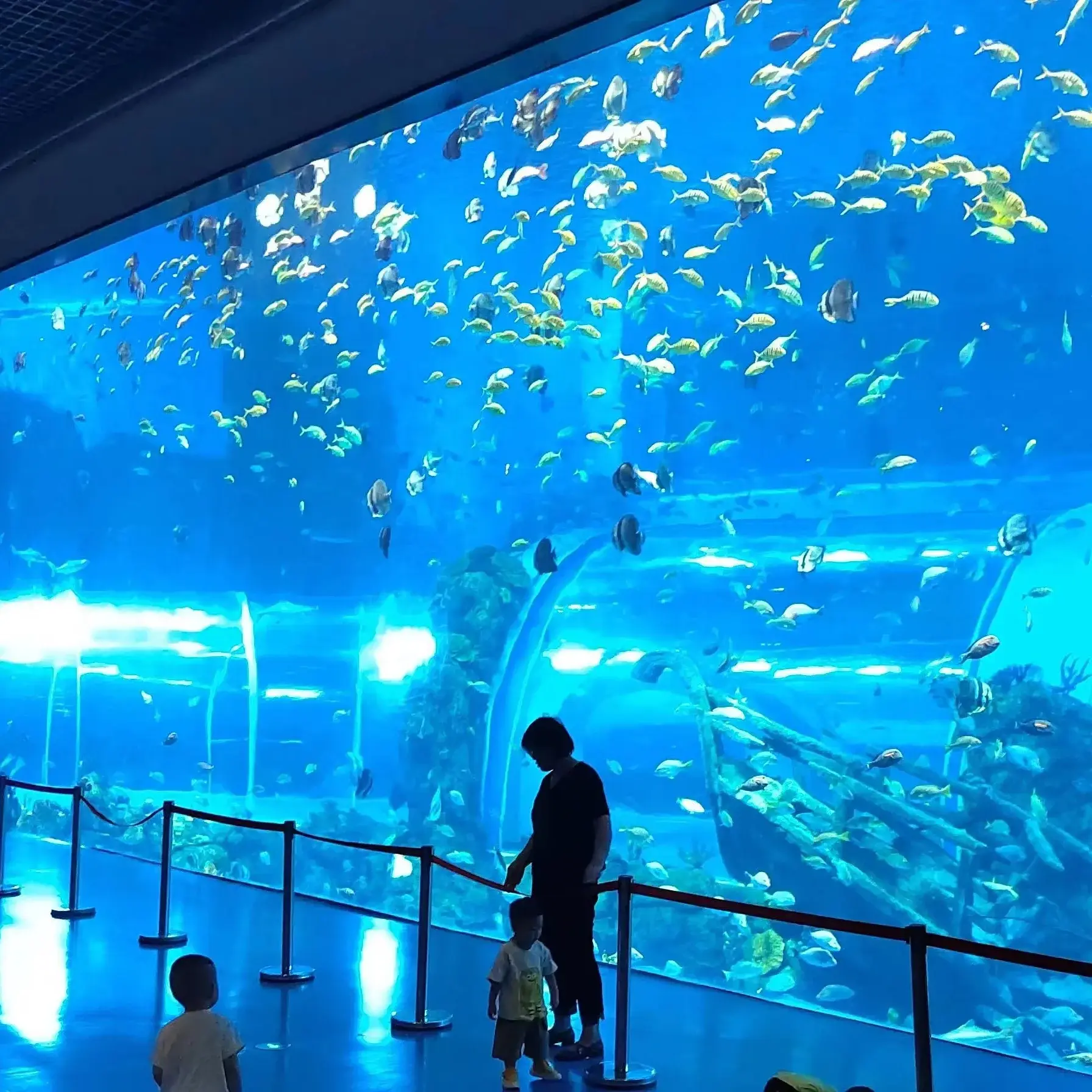 Best Acrylic for Fish Tanks Xchacrylic Brand ISO9001 Sheet 2