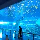 Best Acrylic for Fish Tanks Xchacrylic Brand ISO9001 Sheet 1