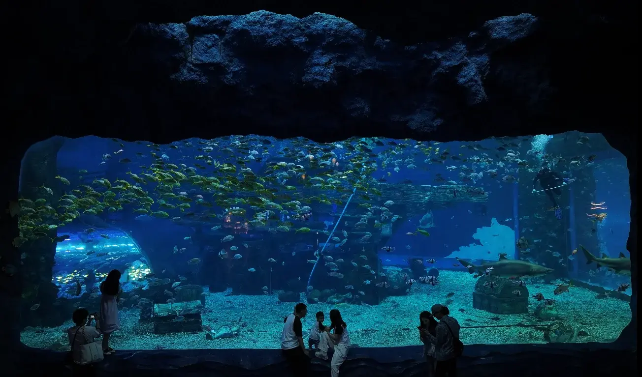 Best Acrylic for Fish Tanks Xchacrylic Brand ISO9001 Sheet 6