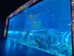 Best Acrylic for Fish Tanks Xchacrylic Brand ISO9001 Sheet 3